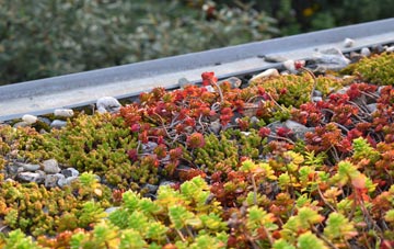 the cost of Chenies green roof installation