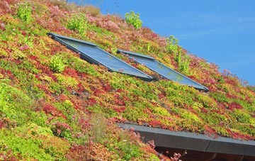 Chenies living roof systems